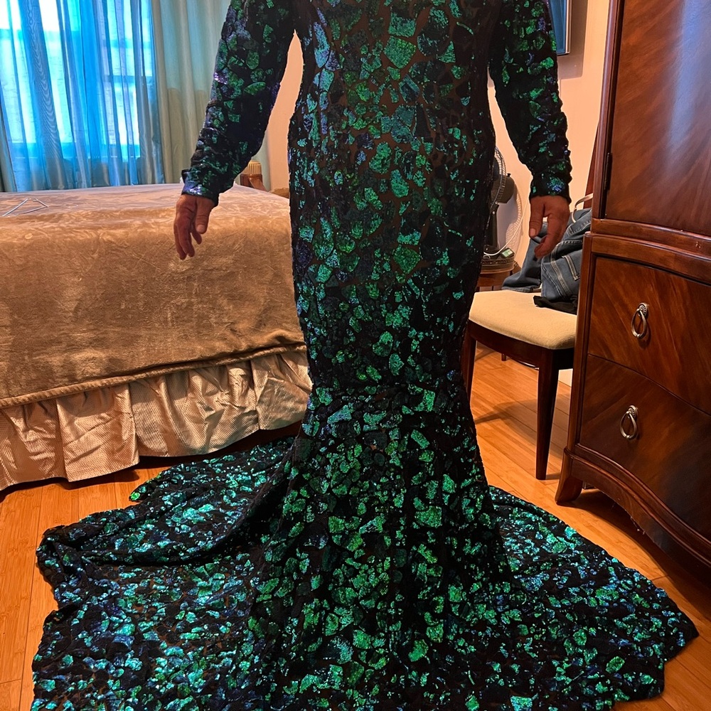 Elegant Green and Black Gown